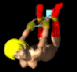 ../Images/wall-2.gif