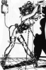 adult-baby,baby,ab/dl,diaper,nappy,couches,infantilisme,diaper lover, travesti,travestie,transvestite,transgender,gender,tranny,trav,transexuelle,transexuel, gag,punition,bondage,spank,spanking, femdom,soumis,domina,dominatrice,esclave,sub,slave,mistress,master, facesitting,baillon,lavement,enema,clyster,platre,caster,cast,casting,canule,sp�culum, corset,cincher,victorien,serre-taille,waist-cincher,ligerie, maid,male-maid,soubrette,servante,domestique,serviteur,menage, mommification,mummification,bondage,rope,film,corde, orthopedie,corset,tlso,lso,ctlso,brace,scoliosis,cyphosis,kafo,hkafo,milwaulkee,boston,lombostat
