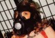 adult-baby,baby,ab/dl,diaper,nappy,couches,infantilisme,diaper lover, travesti,travestie,transvestite,transgender,gender,tranny,trav,transexuelle,transexuel, gag,punition,bondage,spank,spanking, femdom,soumis,domina,dominatrice,esclave,sub,slave,mistress,master, facesitting,baillon,lavement,enema,clyster,platre,caster,cast,casting,canule,sp�culum, corset,cincher,victorien,serre-taille,waist-cincher,ligerie, maid,male-maid,soubrette,servante,domestique,serviteur,menage, mommification,mummification,bondage,rope,film,corde, orthopedie,corset,tlso,lso,ctlso,brace,scoliosis,cyphosis,kafo,hkafo,milwaulkee,boston,lombostat
