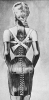 Thumbs/tn_corst214.gif